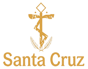com-log-stacruz-web